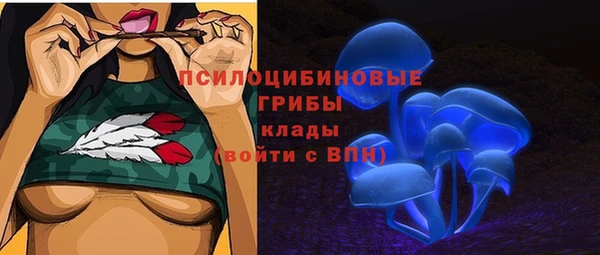 гидра Аркадак