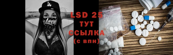 прущие грибы Армянск