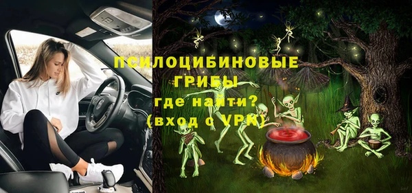 мет Гусев