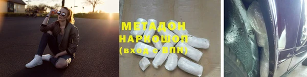 прущие грибы Алзамай