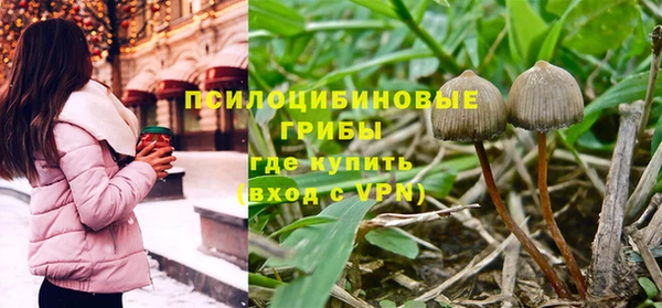 прущие грибы Армянск