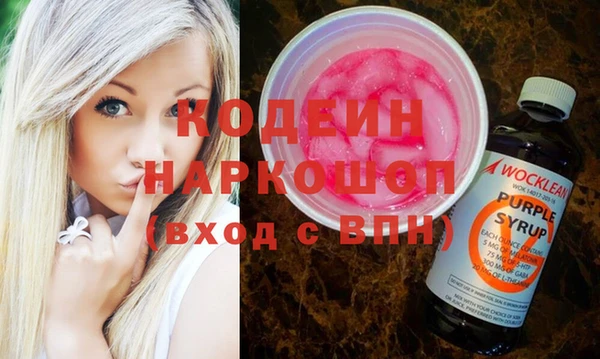 ГАЛЛЮЦИНОГЕННЫЕ ГРИБЫ Гусь-Хрустальный