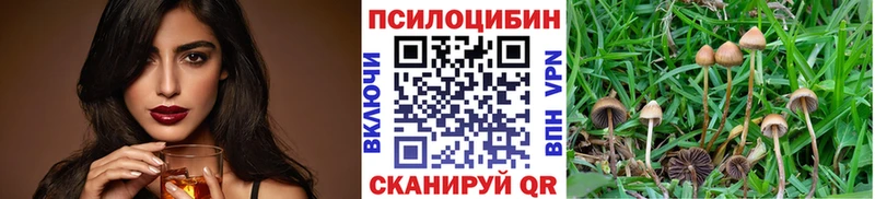 Галлюциногенные грибы GOLDEN TEACHER  купить  сайты  Спас-Деменск 